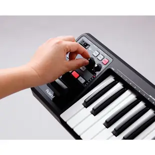 ROLAND A-49 MIDI Keyboard Controller 主控鍵盤《鴻韻樂器》A49 49鍵 控制鍵盤