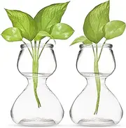 Garden Guru Plant Propagation Stations – Self-Standing Hourglass Glass Vases for Hydroponic Plant Growth – Unique Double Bubble Design for Home Decor (Set of 2)