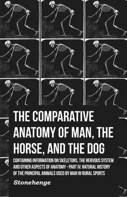 The Comparative Anatomy of Man, the Horse, and the Dog - Containing Information on Skeletons, the Nervous System and Other Aspects of Anatomy - Part I