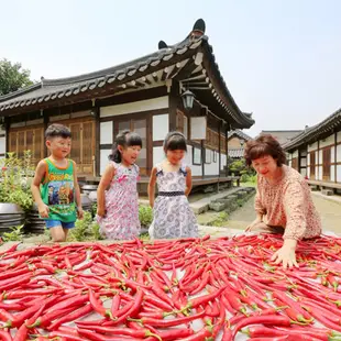 清淨園-傳統辣椒醬500公克