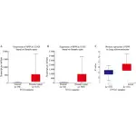 【軟體專區】CYTOSCAPE可視化生物信息學R語言差異基因表達蛋白互作網絡