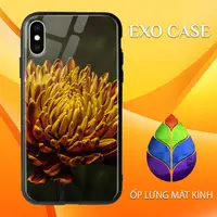 在飛比找蝦皮購物優惠-Apple Xr 手機殼 EXO 手機殼 EXO 手機殼 E