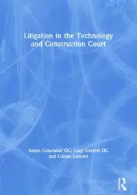 在飛比找博客來優惠-Litigation in the Technology a