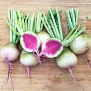 RADISH 'Watermelon' seeds