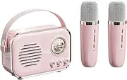 Retro Speaker Portable wirel Speaker Microphone Karaoke All-in-one subwoofer Small Speaker Ornament Pink Label Pink Label