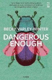 Dangerous Enough by Ms Becky Varley-Winter NEW Paperback softback