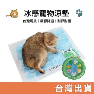 台灣現貨｜勁涼❄️ Tinypet冰感寵物涼墊 冷凝墊 冰涼墊 凝膠墊 睡墊 貓窩 寵物散熱墊 冰墊 散熱墊 寵物床