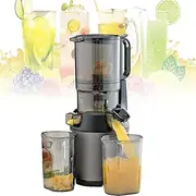 300w cold Press Slow Juicer, Juicer Machines, With Triple Filter, Cold Press Juicers Whole Fruit And Vegetable, For Delicate Crushing,Grey