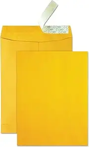Quality Park High Bulk Catalog Envelope, 9 x 12 Inches, Kraft, Redi-Strip, Box of 250 (41420)