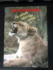 Vintage Argus Poster NOS 62163 Lioness