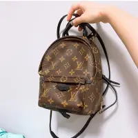 在飛比找Yahoo!奇摩拍賣優惠-【二手】LV M41562 Palm Springs Min