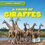 A TOWER OF GIRAFFES