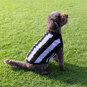 AFL Collingwood Magpies Pet Jumper - Medium