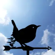 Nettle Bird Metal Weathervane, Weather Vane, home roof decor
