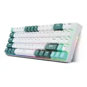 70% Mechanical Keyboard - RK71 Wireless Gaming Keyboard with Hot-Swappable Bl...