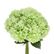Artificial Flowers 20 Bundles, Green Fake Hydrangea Plants for Wedding Outdoor