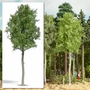 Lime tree, 170 mm HO/OO Gauge Busch 3797