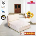 【USLEEP舒背秀】微微硬2.3乳膠升級連結式床墊-6尺加大(6尺 天然乳膠 2.3護框型 國際睡眠學會會員)