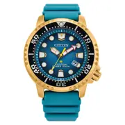 Citizen Promaster Marine Turquoise Dial Stainless Steel Men's Watch (BN0162-02X)