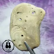 HOLEY HAG STONE NATURAL SURF TUMBLED BEACH ROCK WISHING GOOD LUCK FAIRY #1401