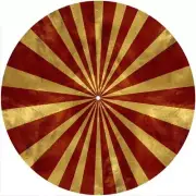 Slipmat Slip Mat for Numark or any 12" DJ Turntable Record Player BIG TOP PEAK