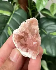Pink Amethyst Geode Natural Crystal PA036