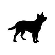 Cattle Dog Vinyl Decal Sticker | Australian Red Blue Heeler ACD Queensland |