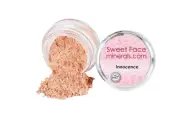 INNOCENCE EYE SHADOW Blush Mineral Makeup Brow Bare Skin Liner Powder Highlight