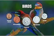 Authentic Genuine Collectable Silver Coins Birds Collection