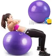 Exercise Ball, Explosion-Proof Yoga Ball, Balance Ball(25in /65cm) with Pump, Heavy Duty Swiss Ball for Fitness, Pregnancy, Balance & Physical Therapy, Fitness in Home/Gym/Office