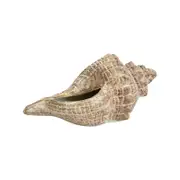Decorative Shell Conoch Home Room Decor - Rustic Brown