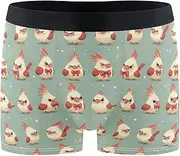 [FRODOTGV] Retro Cute Birds Mens Boxer Briefs Shorts Running Underwear for Men Compression Interiores Para Hombres