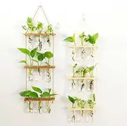 CAOBO Wall Hanging Planter with Wooden Stand, Ornament，3 Tiered TestTube Flower Vases Retro Hanging Glass Planter Propagator for Hydroponic Plants Cutting Home Office Garden Decor- 9 Test Tubes