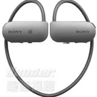 在飛比找Yahoo!奇摩拍賣優惠-【曜德☆刷卡0利率】SONY SSE-BTR1 灰黑 隨身教