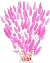 uxcell 60-Pack Bunny Tails Grass 17 Inch Fluffy Rabbit Tail Grass Dried Flowers Branches Vase Filler Dried Grass Decor for Home/Wedding/Vase/Office/Party [Rose Red]