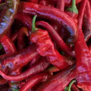 Capsicum - Jimmy Nardello seeds
