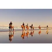 Save 7.00%! Beach Horse Ride - Hotel Pickup & drop-off included. CAPE TOWN