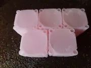 5 Pink Dollar Large/ Silver Coin 38.1 mm Size Safe Plastic Square Tube