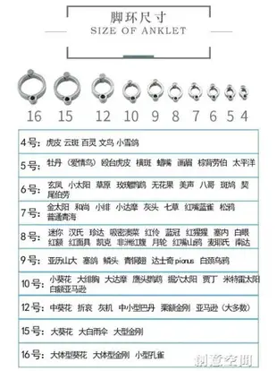 不銹鋼鸚鵡腳鏈虎皮牡丹玄鳳八哥鷯哥鳥站架開口腳環用品用具拴鳥 交換禮物