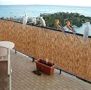 Reed Screening, Patio Privacy Screen,Eco-Friendly Reed Fence,Garden Screen Fence Fencing, Bamboo Fence, Outdoor Shade,Pool Plant Fence,Easy Assembly, Can Be Customized