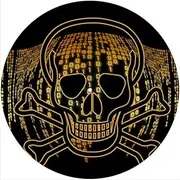 Slipmat Slip Mat Scratch Pad Felt for Any 12" LP DJ Vinyl Turntable Record Player Custom Graphical - Skull Virus