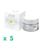 Pure Chamomile Day Cream Smooth Soft Anti Aging Clear Skin Moisturize 10 g x 5
