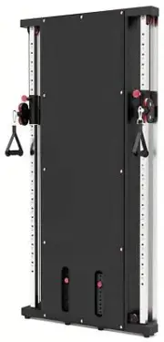 French Fitness Wall Mounted Dual Cable Column Component (New)