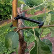 Fruit Tree Branch Limb Spreader Help Fruit Tree Grow From Central Stem For Spreading Crotch Angles Branches 1PCS