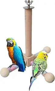 Bird Perch Toy