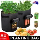 1x/2x Potato Grow Bags Container Bag Pouch Root Plant Growing Pot Side Window