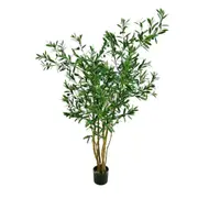 [Florabelle Living] Olive Tree 120cm