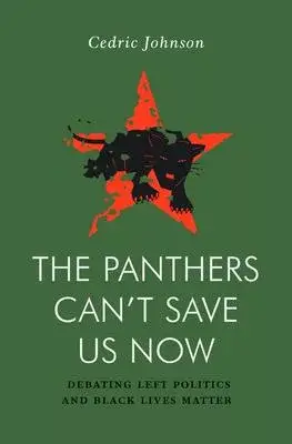 The Panthers Can’’t Save Us Now: Debating Black Life, Policing and Left Struggle