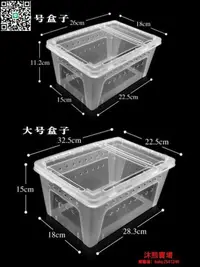 在飛比找露天拍賣優惠-熱賣◆速出蝸牛盒子寵物飼養箱白玉蝸牛小中大號專用養殖盒爬蟲爬