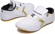 [MSMAX] Art Taekwondo Shoes Light Weight Boxing Karate Kung Fu Tai Chi Sneakers